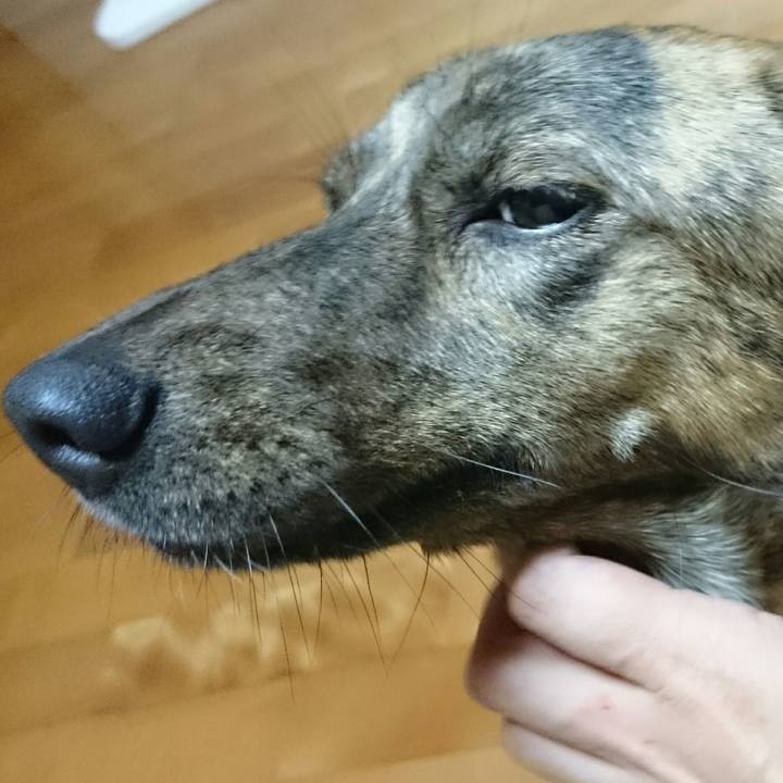 80c822a6 b85e 49f4 8e17 de0cac587f07