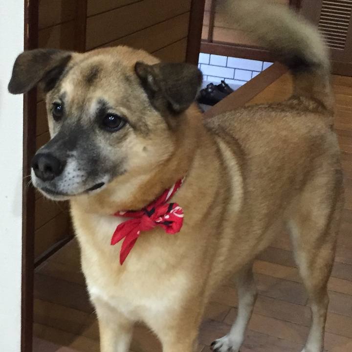 80c84cf0 224b 470f 8f72 4edbdb1df432