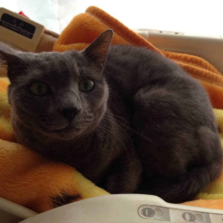 80c908d2 963b 48e6 ac2a 59d3d1c04f95