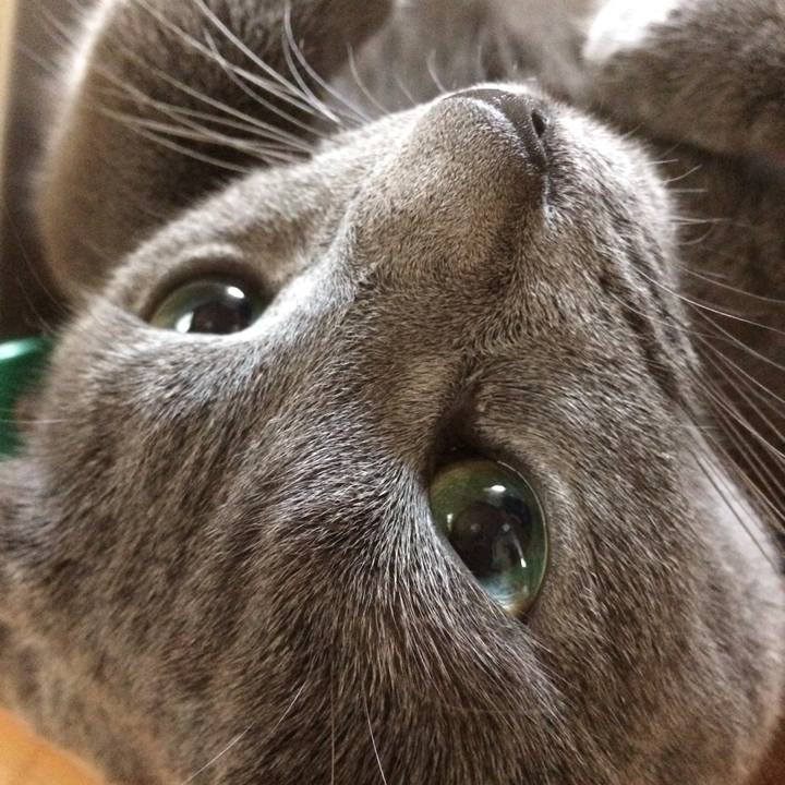 80c9c9f0 f348 4fee b714 b0425b6f8616