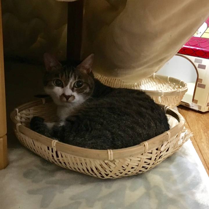 80c9e704 b2df 4621 97fb 2c3bf7b7e5b8