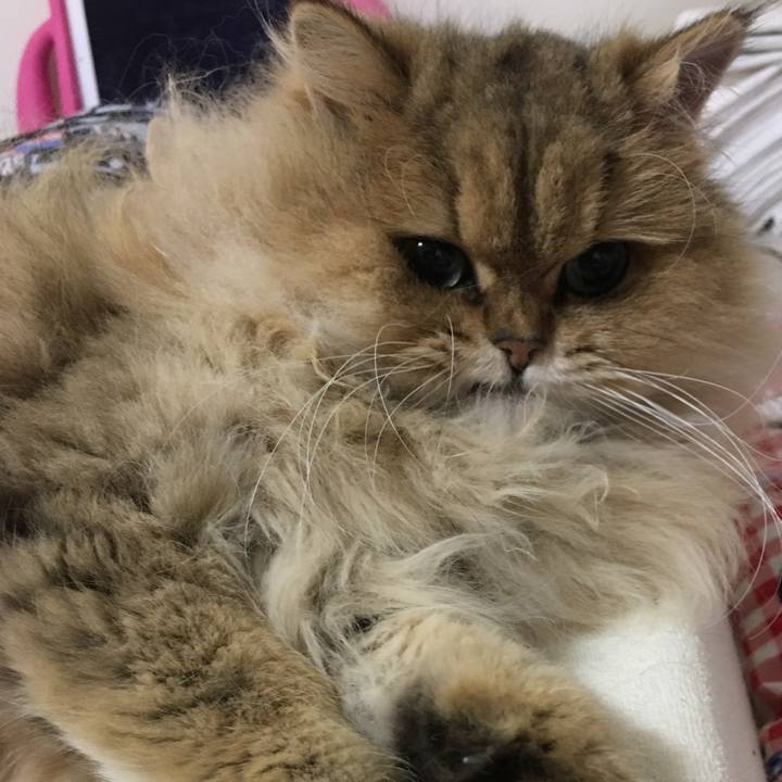 80cb247c 2355 4e20 bdfc 06f87609a198