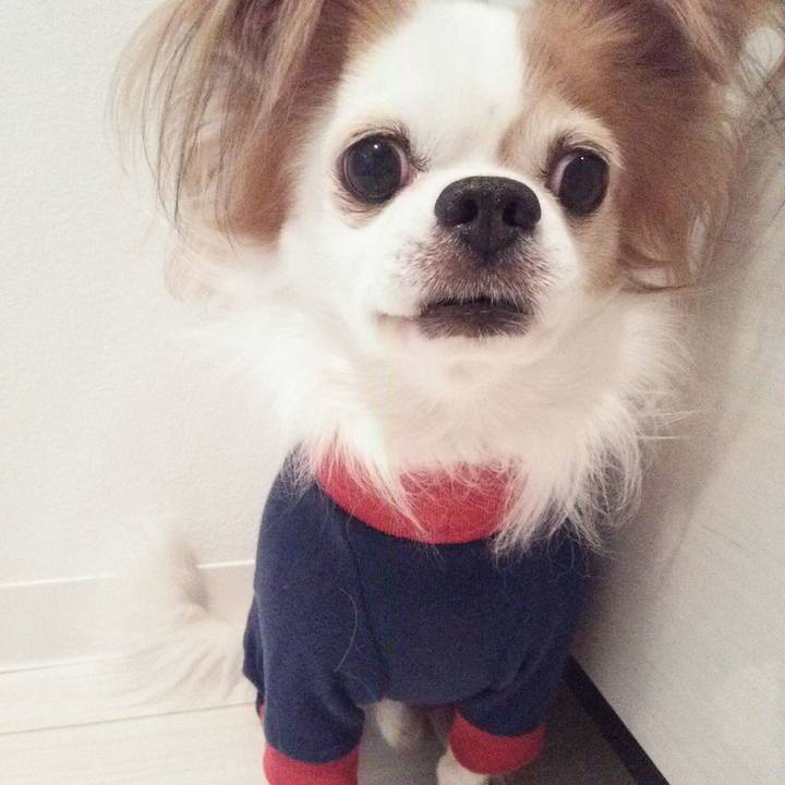 80cb4aed de8f 4119 a153 2ee443c2b538