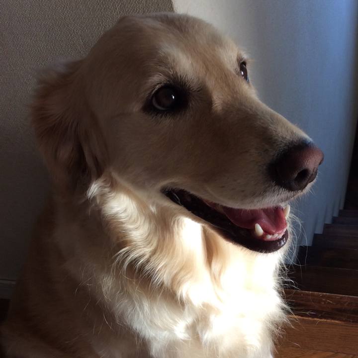 80cc0c7b a703 4763 95c2 c5b123822daf