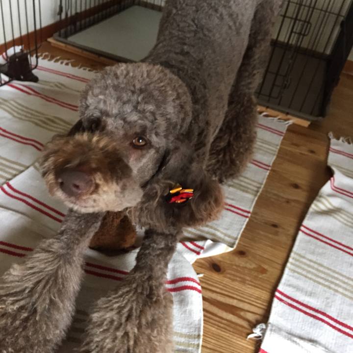 80cca02c a93e 46eb afe2 9f11bea00abc