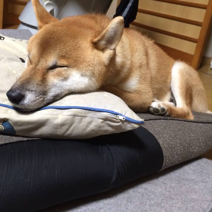 80ce6d9e a9f4 4341 b5d5 4e419dcde163