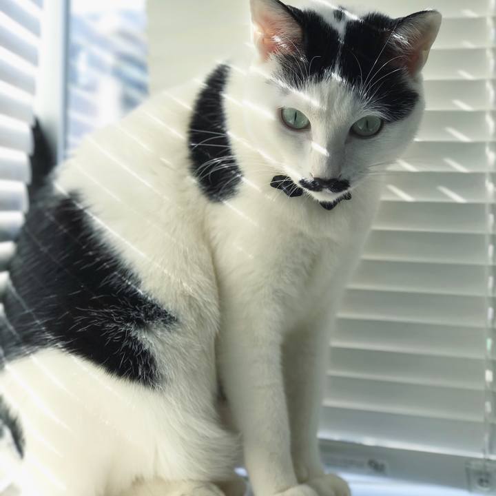 80cebfc3 6652 4c6b 94bc 1f9278e877ea