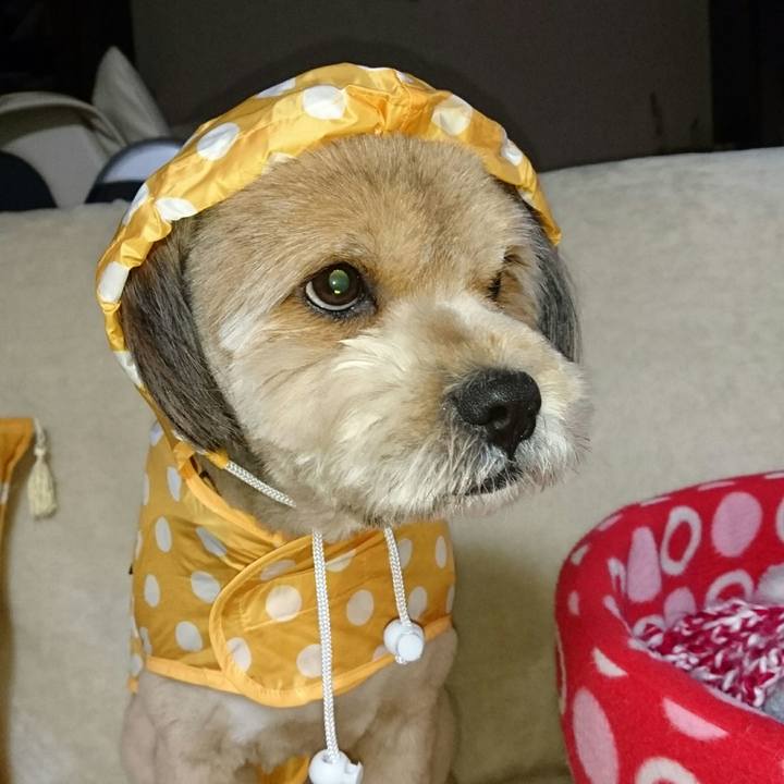 80cef8eb ffb3 43db 8553 4543ddf254e1