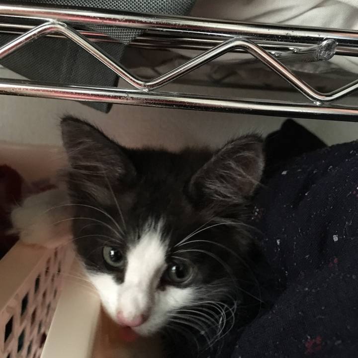 80ceff50 f314 4c5f 8fd5 012a5b6aec4a