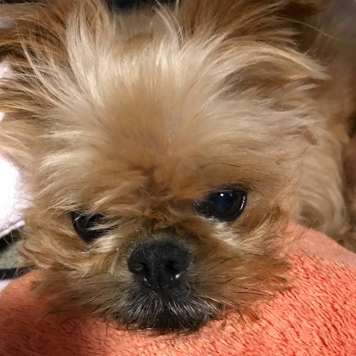 80cf1446 c013 4ac9 b8f6 871d9d0b35f8