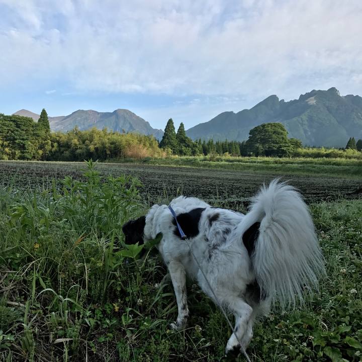 80cf630a 1953 4c2a bdb6 2ef376834b11