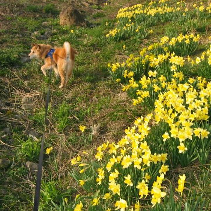 80cf7fe1 5fd0 4d93 9f49 36041d814d0c