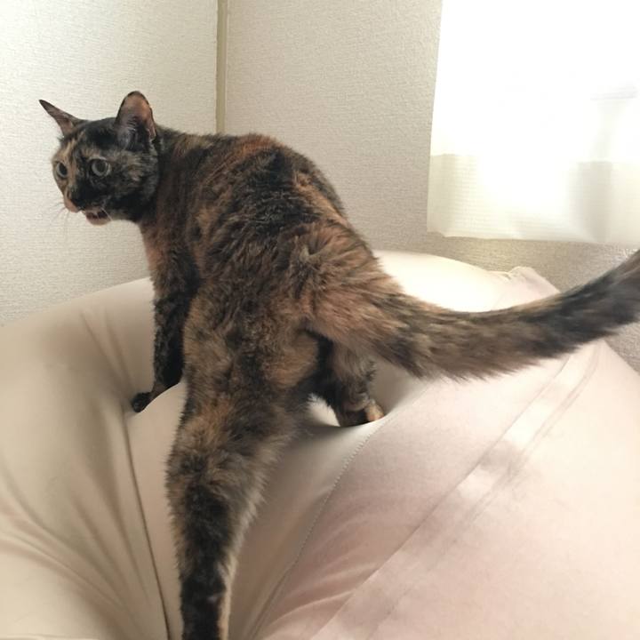 80d08c9f 0cfb 4420 b12b 72ca4a60888c