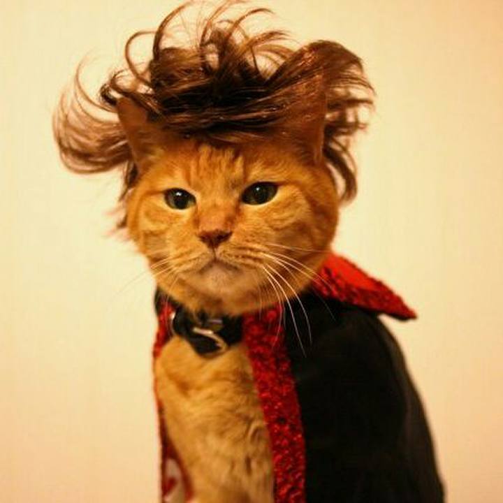 80d0d8b0 6a22 44ff 9bce 195eab32e66e