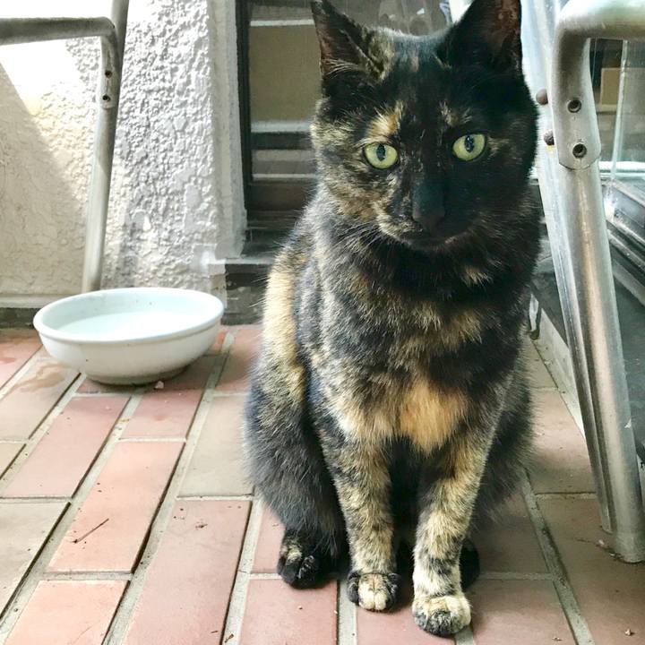 80d13302 5ddb 4e70 8ef5 fabb4eaff55f