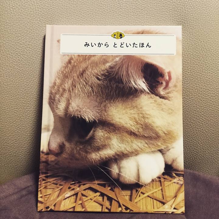 80d18caf c36b 45f7 9a40 683c9ec75848