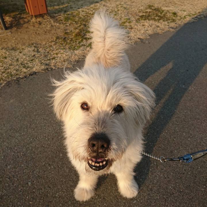 80d21dc4 e62a 4b73 8ca8 7edc15eec36c