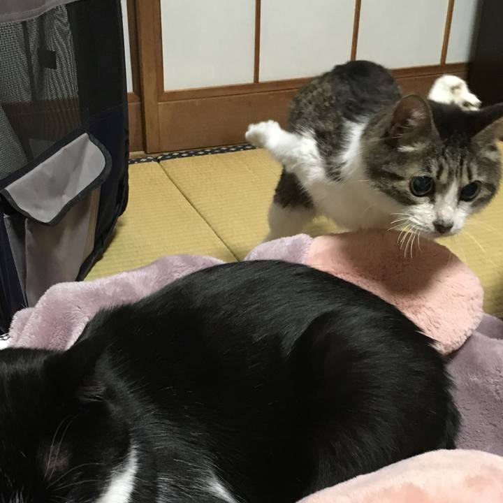 80d22531 0a93 4e9a 921a b54ca57a4984