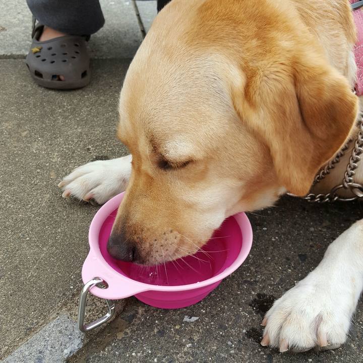 80d2c388 cc1a 4334 aae4 43429a215ad9