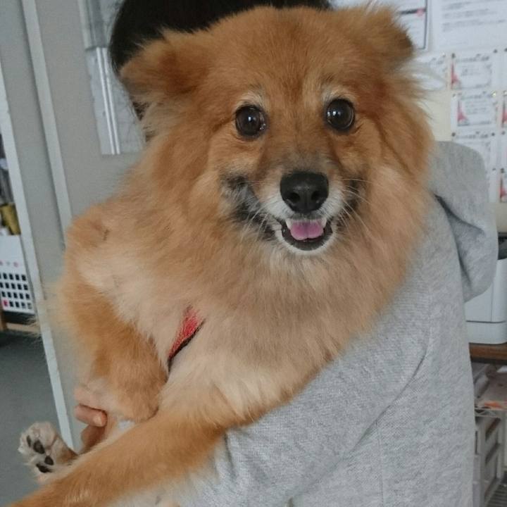 80d2e4a9 0c5b 421e bae4 5ea98e73dd23