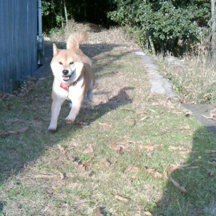 80d3ea06 3ab0 4ff9 a3e5 59dd039e5cdb