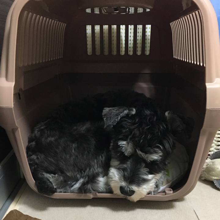 80d43964 ab15 496d a4cc 8678fe37b19a