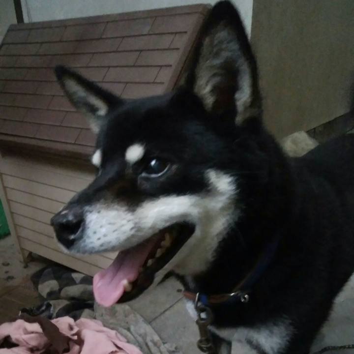 80d44af2 6c55 473c 81df e2e38b498fd4