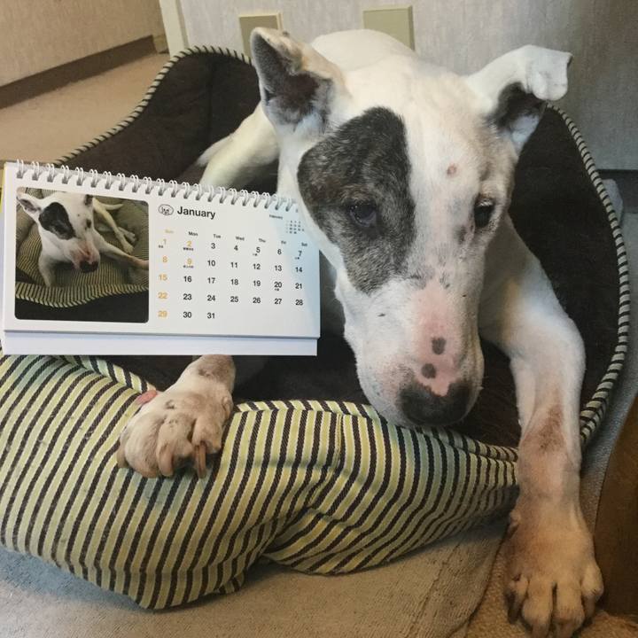 80d47458 35ef 41b1 a36f be8c44afc55a