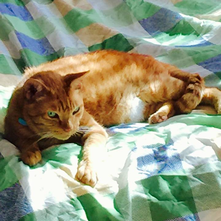 80d534c6 1a57 4443 9240 db1e512ca7c1