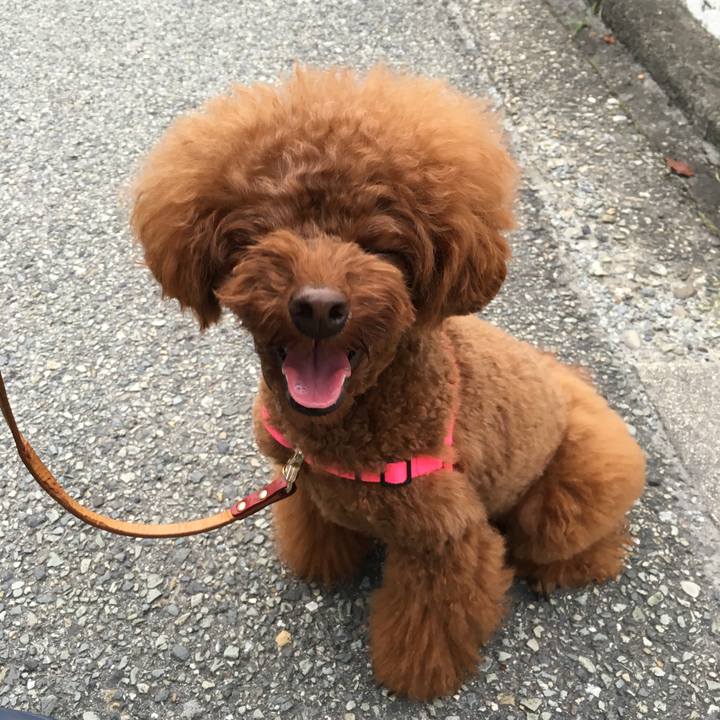 80d54d99 9688 45fe b3fd 07d8835638fc