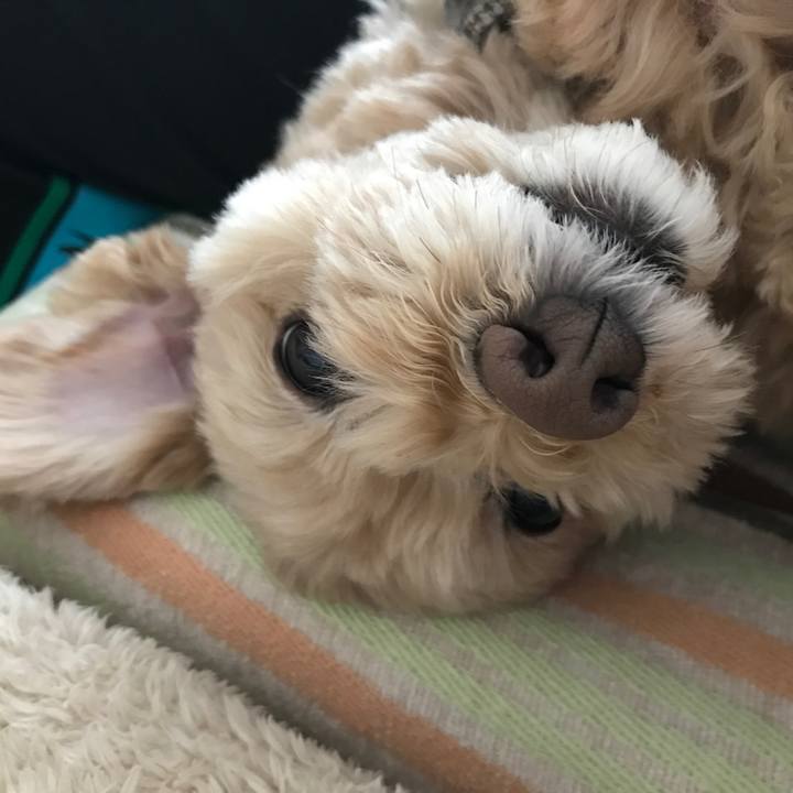 80d55319 fbcc 4ec3 934b 511058980ebf