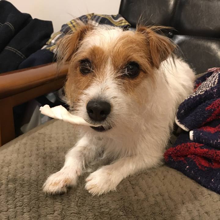 80d5d6c3 0326 433e a5f2 a02e3c5e2454