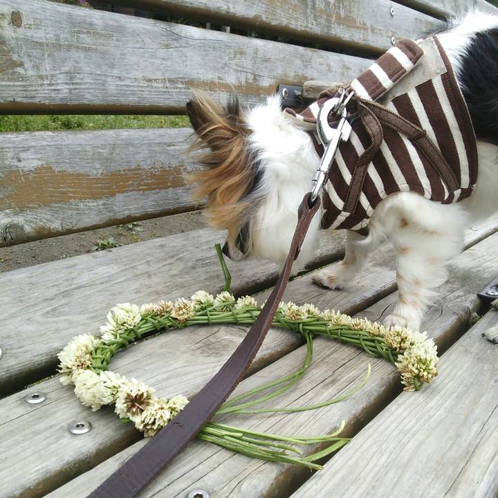 80d63f94 fc36 49f3 849c 8d8baabbb116