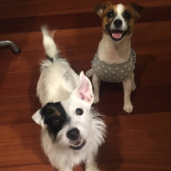 80d67824 b3ce 4859 ac0f fbd3d0f9de49