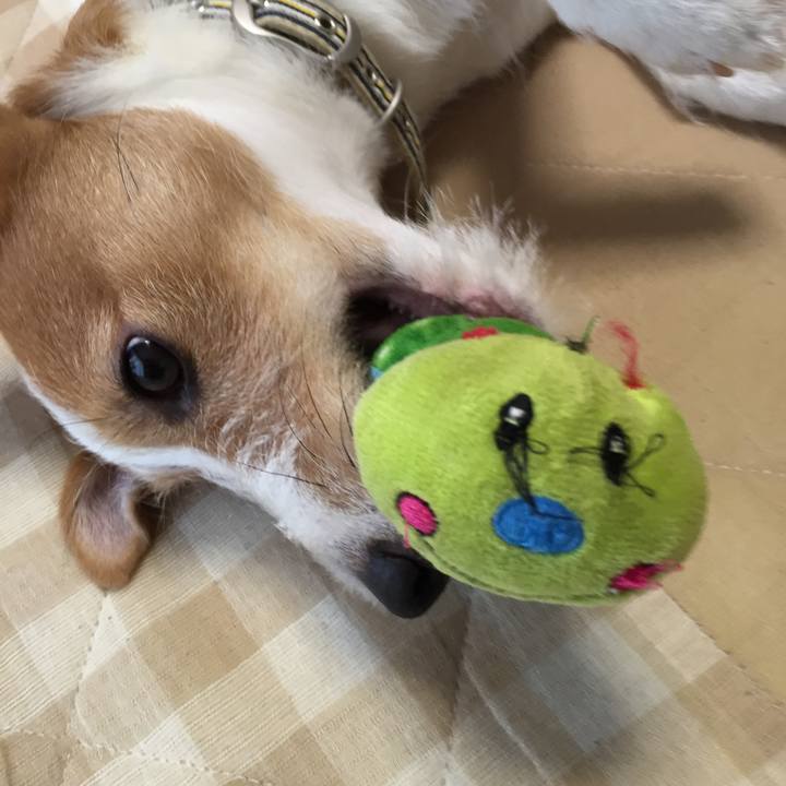 80d72443 60bc 4945 8ee1 d4c0d83da877