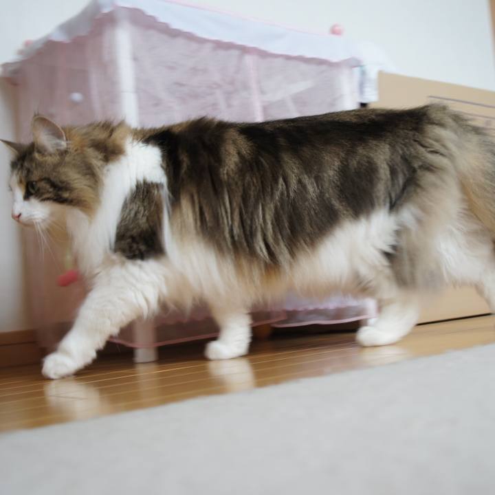 80d727a1 ea5e 46bf b2ea 0e21d2d94b40