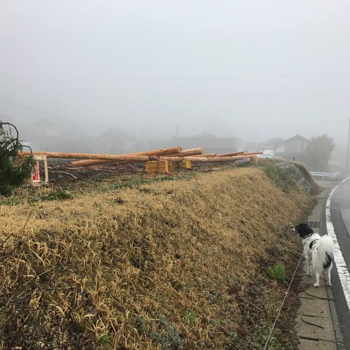 80d732eb 696a 4b07 9eea cca717fb2ae7