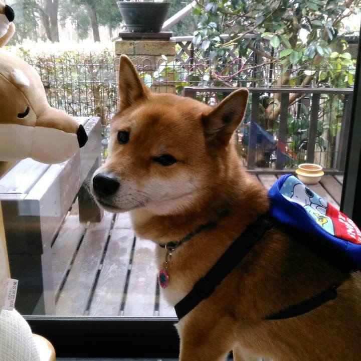 80d79304 5550 4189 93b8 afbca401dcc8