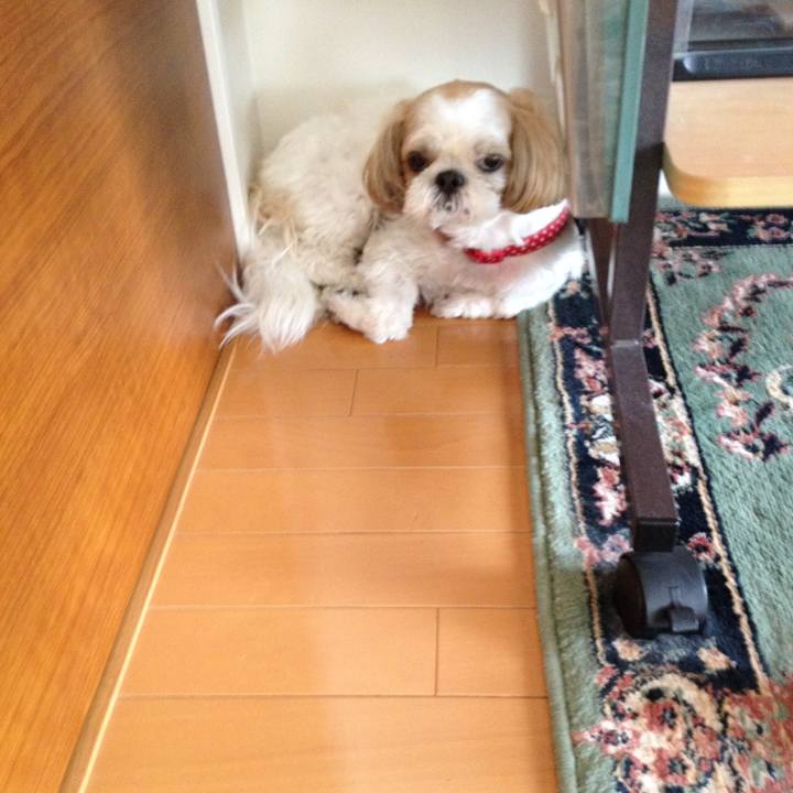 80d8501c 9dfc 4055 8794 5e7309f494c6