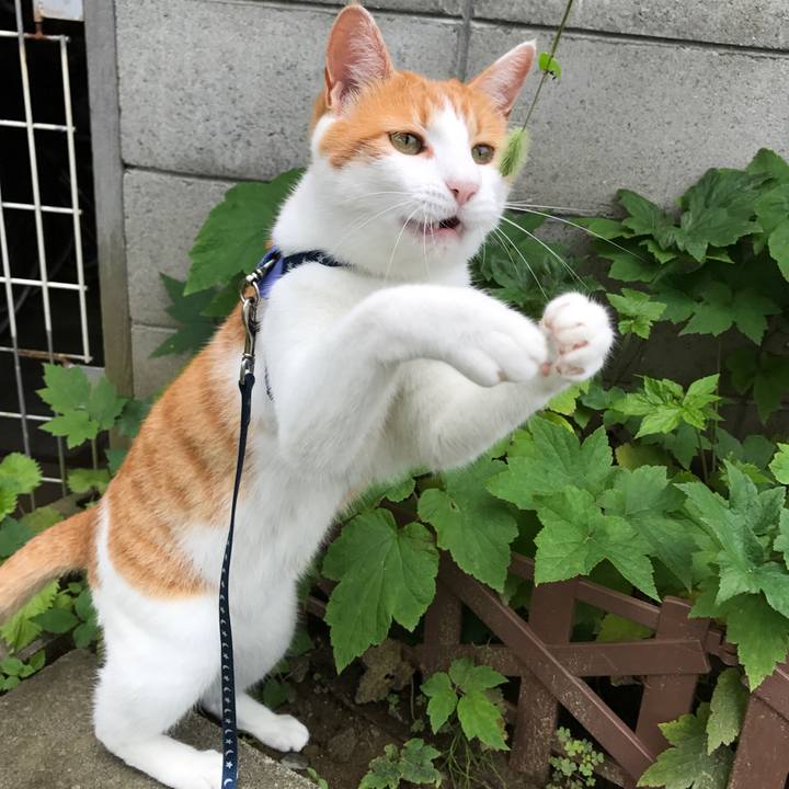 80d89769 6eea 4410 9568 1ac64bf2ba88