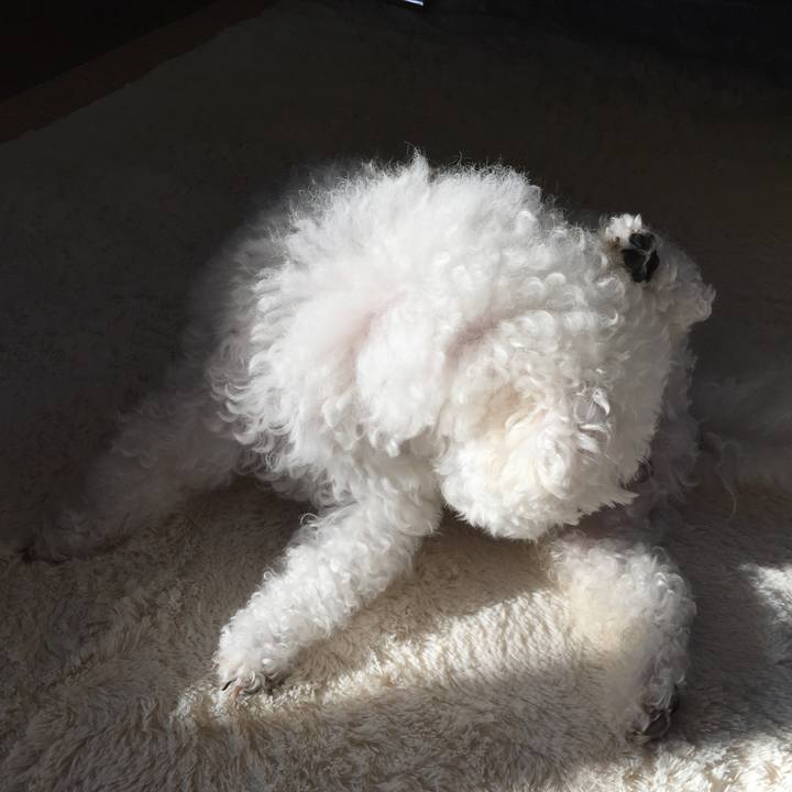 80d8ad20 f9c8 4c46 a577 aeed22c1981f