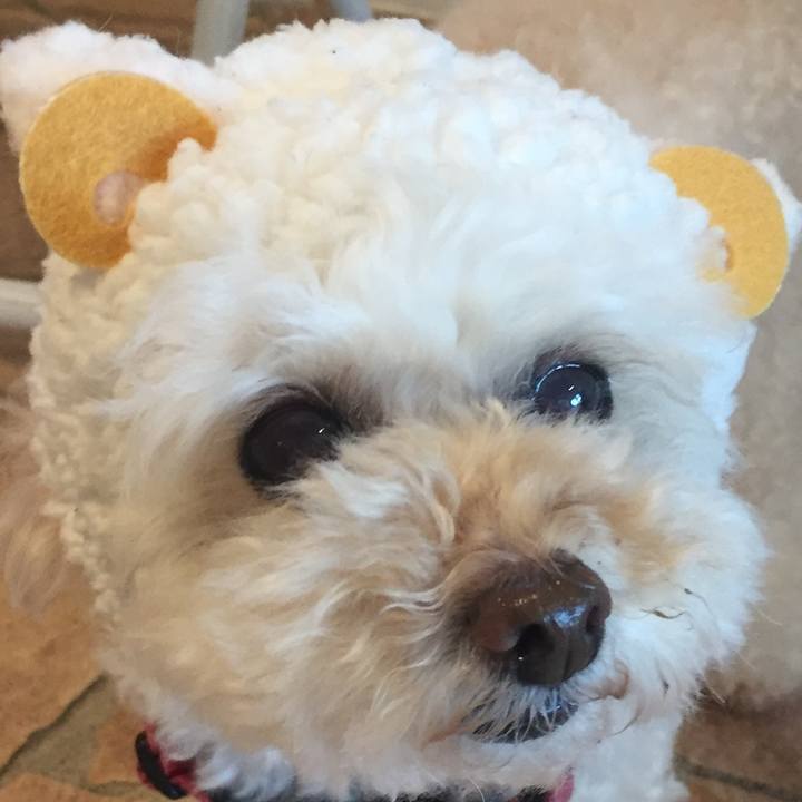 80d8cc36 7d40 48c7 91d2 6deb6c0183e5