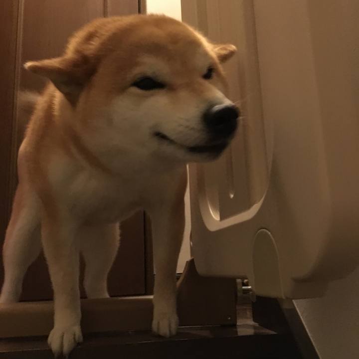 80d90bb5 e449 4638 bb58 647a8677fcdf