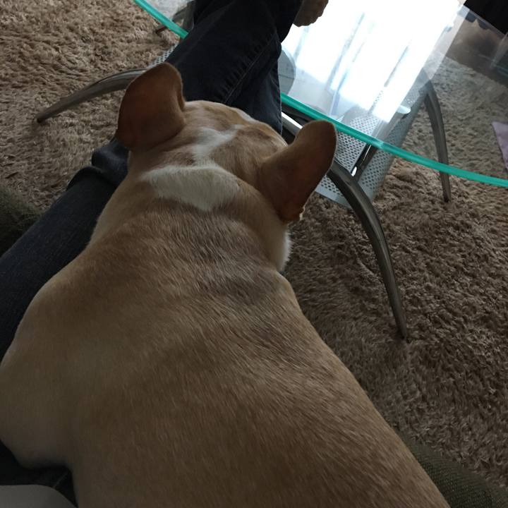 80d92065 88cc 4178 b083 e4ac91774986