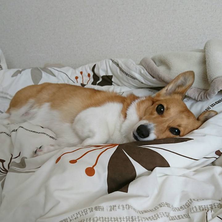 80d9de5d dca1 4e08 8b8c 246793f1269b