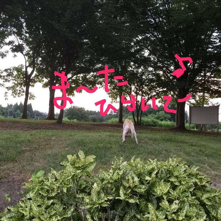 80da94b1 52e0 475f 95f2 9b7698b96066