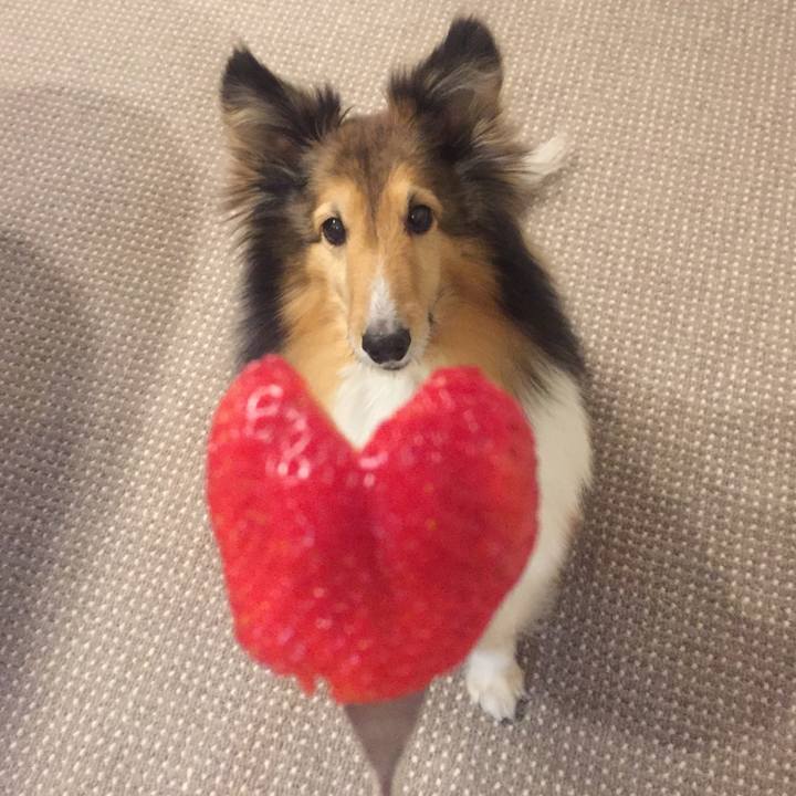 80db2ddd 3dfc 44f4 bc8a e6678e691f8f