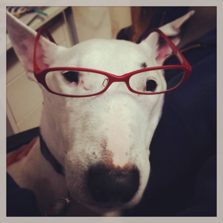 80db7162 e6dd 44b6 92e2 43d8635d969e