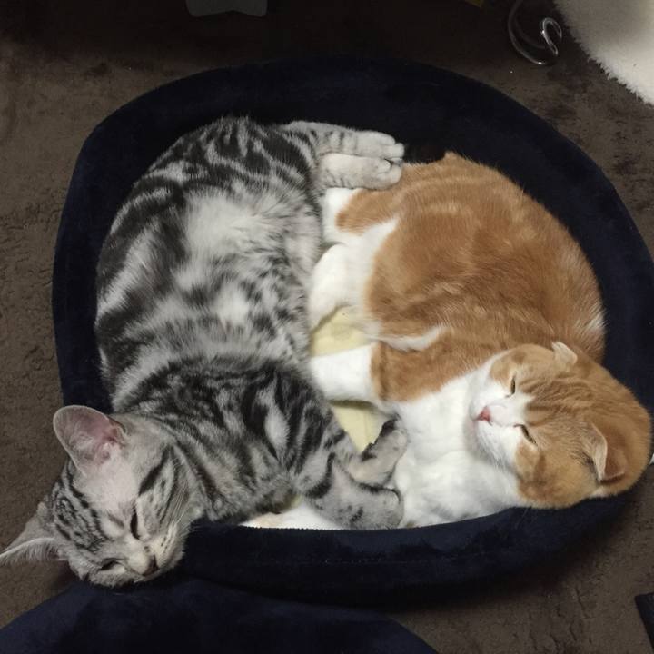 80dd285e 4082 47d6 9938 abf96af458fc