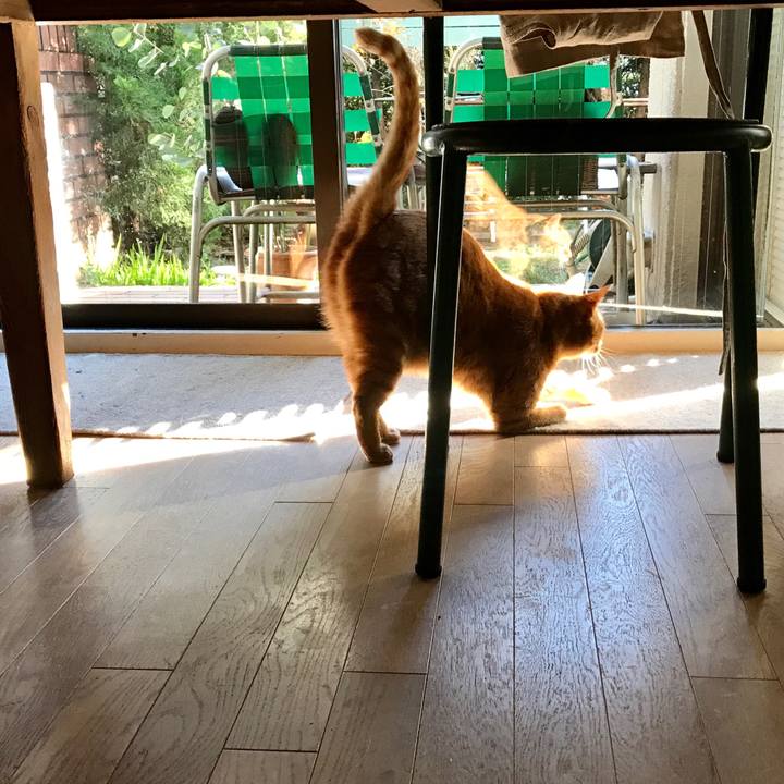 80dda2a8 0768 471d ae0c 93e873412bba